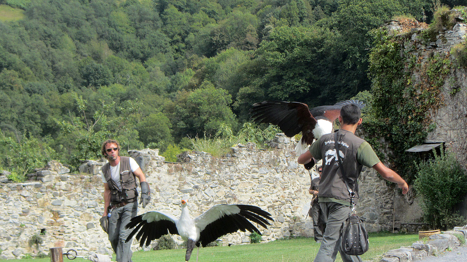 Donjon des Aigles, Beaucens